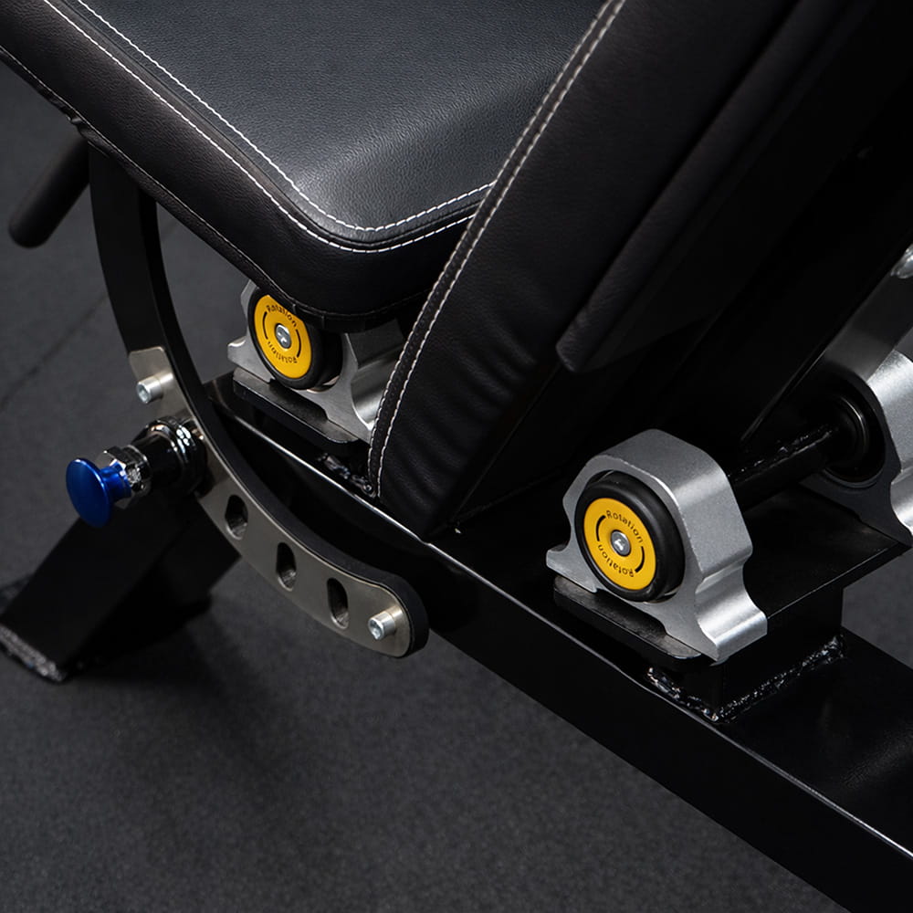 Professional Adjustable Muscle Training Bench