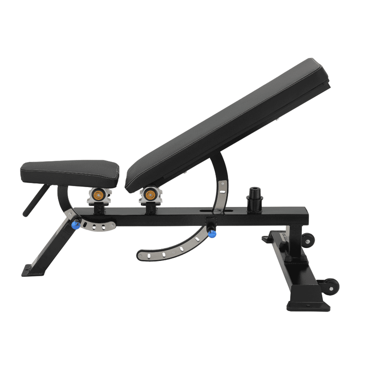 Professional Adjustable Muscle Training Bench