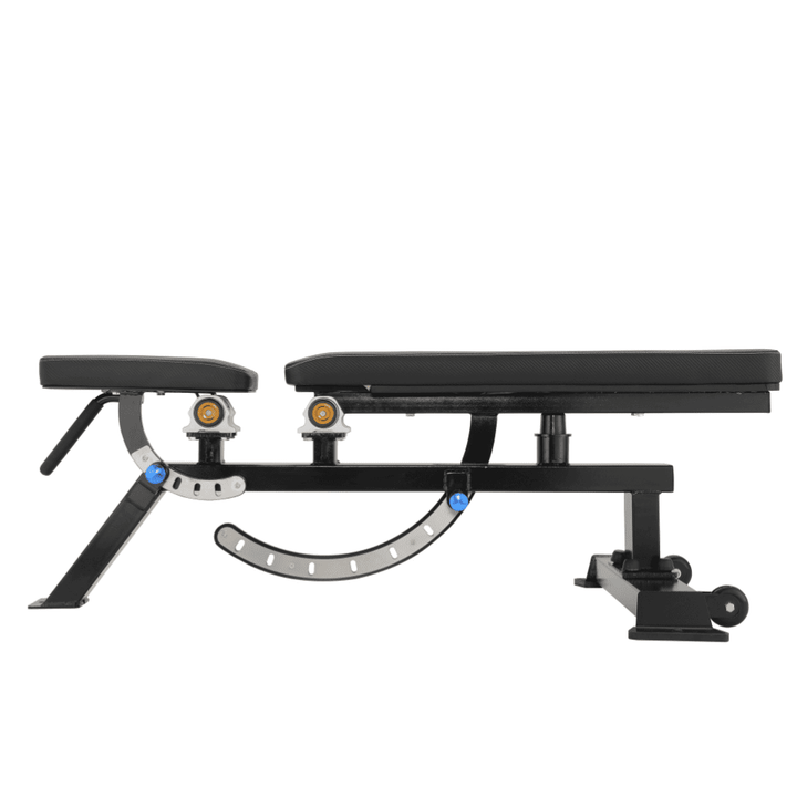 Professional Adjustable Muscle Training Bench