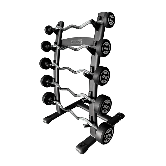 Set of Curved Mounted Bars with Rack